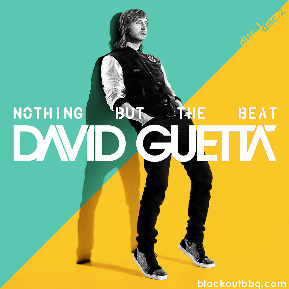 David+guetta+nothing+but+the+beat+cover